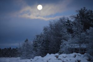 Full moon over snow covered trees