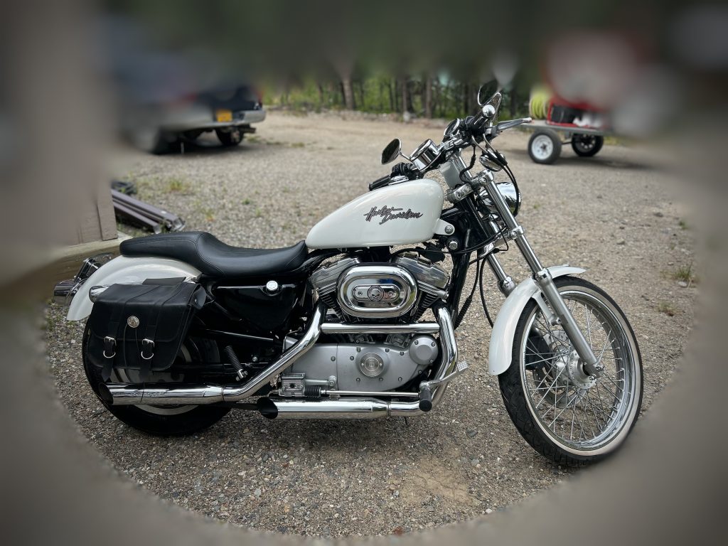 Black & White Harley Davidson Sportster Motorcycle profile view